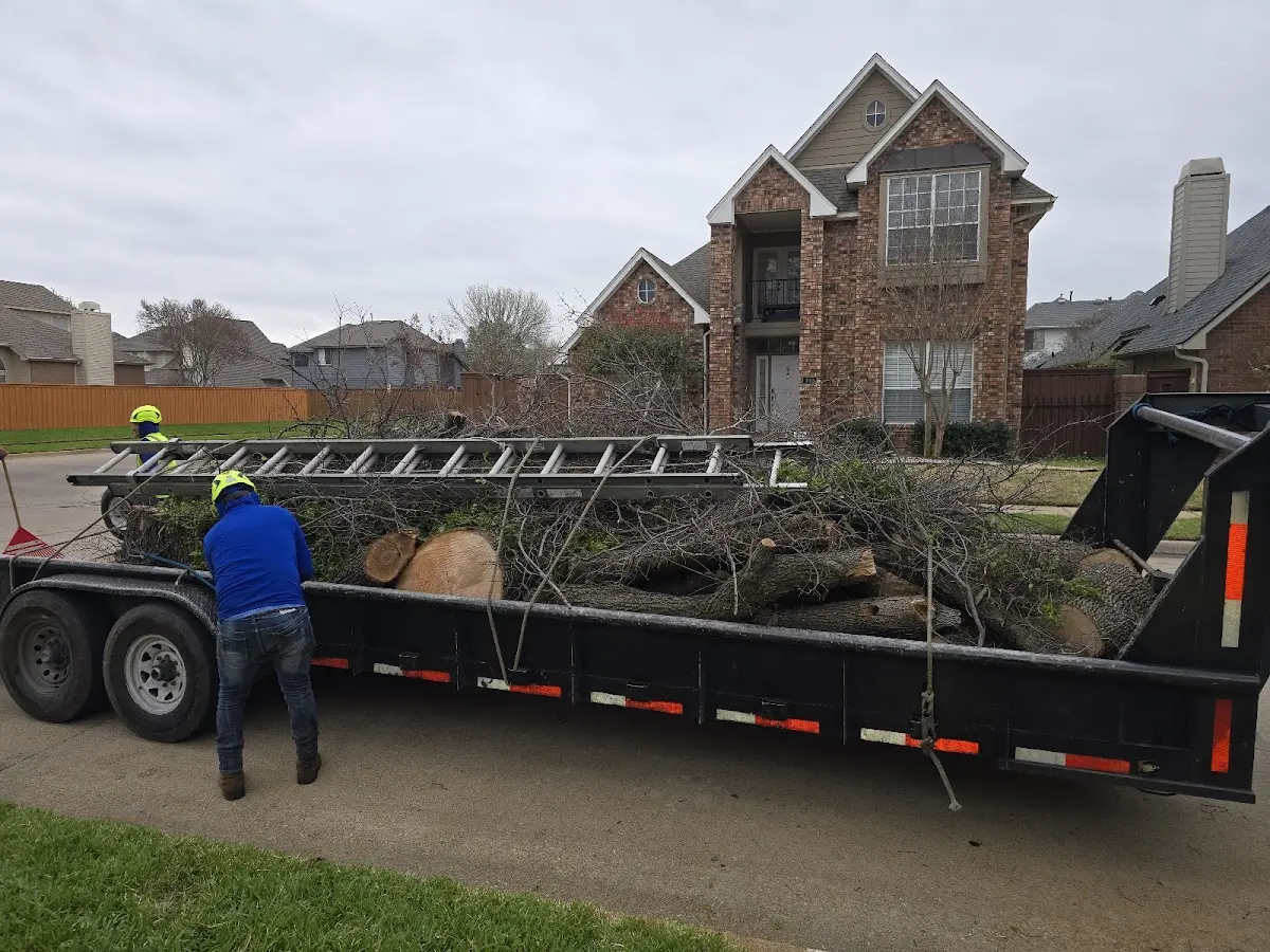 Expert Tree Removal with proper safety equipment in Bowers